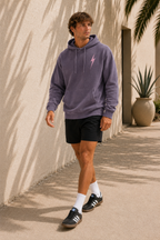 Pigment Plum Classic Bolt Hoodie - walking male